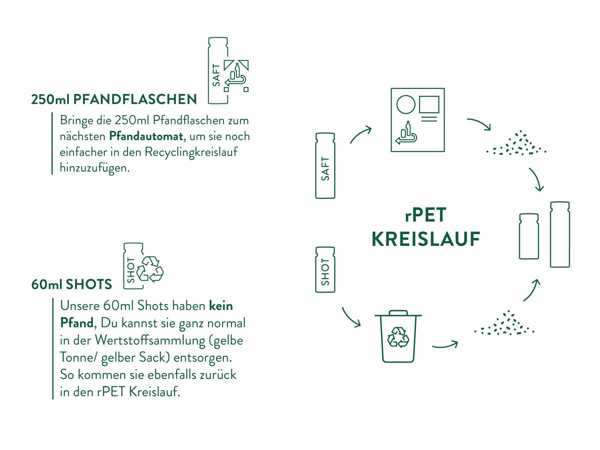 Grafische Darstellung des rPET-Kreislaufs für Pfandflaschen und 60ml Shots. Links oben wird erklärt, dass 250ml Pfandflaschen zum Pfandautomaten gebracht werden sollen, um sie in den Recyclingkreislauf zu integrieren. Links unten wird beschrieben, dass die 60ml Shots kein Pfand haben, aber in der Wertstoffsammlung entsorgt werden können. Auf der rechten Seite wird der Kreislauf von recycelten PET-Flaschen (rPET) visuell dargestellt, von der Rückgabe bis zur Wiederverwertung als neue Flasche.