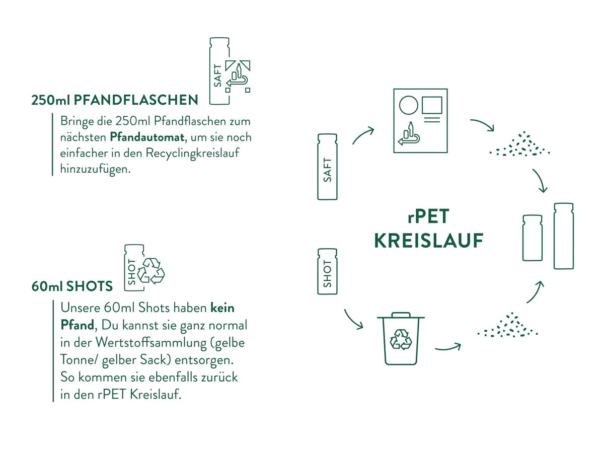 Grafische Darstellung des rPET-Kreislaufs für Pfandflaschen und 60ml Shots. Links oben wird erklärt, dass 250ml Pfandflaschen zum Pfandautomaten gebracht werden sollen, um sie in den Recyclingkreislauf zu integrieren. Links unten wird beschrieben, dass die 60ml Shots kein Pfand haben, aber in der Wertstoffsammlung entsorgt werden können. Auf der rechten Seite wird der Kreislauf von recycelten PET-Flaschen (rPET) visuell dargestellt, von der Rückgabe bis zur Wiederverwertung als neue Flasche.