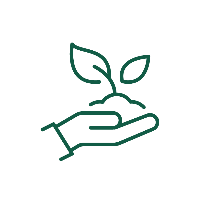 Ein grünes Liniensymbol einer offenen Hand, die eine kleine Pflanze mit zwei Blättern in Erde hält. Es weist auf Nachhaltigkeit hin.