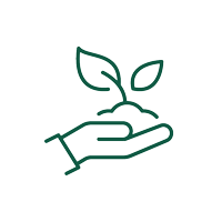 Grünes Symbol einer offenen Hand, die eine Pflanze mit zwei Blättern hält, das auf natürliche Zutaten hinweist.