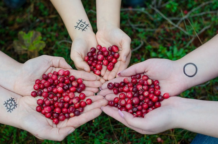 Cranberry und ihre Wirkung: 4 Gründe, warum Du Cranberries essen solltest