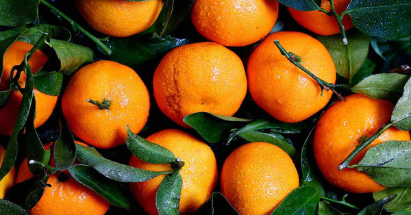 Die Orange und ihr Vitamin C - Der perfekte Begleiter durch die Winterzeit