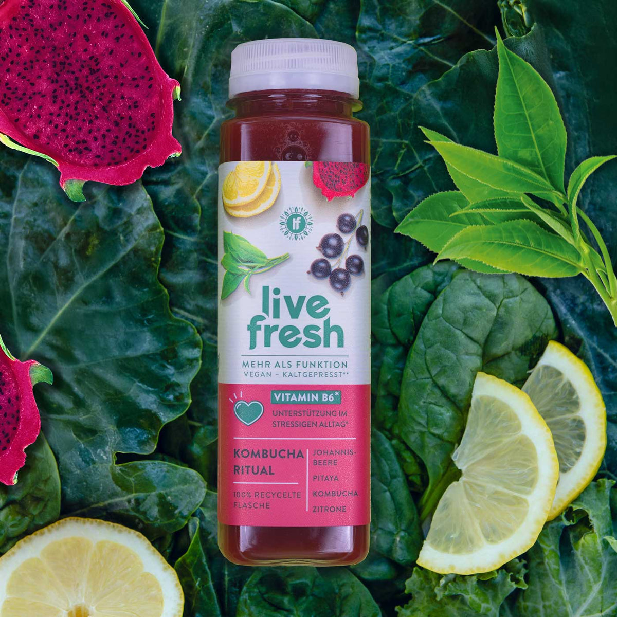 Kombucha Ritual – Saft – 250ml