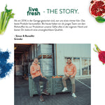 Der Text beschreibt, wie das Unternehmen 2016 in einer Garage mit dem Ziel gegründet wurde, das beste Produkt herzustellen. Das Team kontrolliert den gesamten Prozess von den Rohstoffen bis zur Produktion der Säfte selbst, um unvergleichliche Qualität zu bieten. Unter dem Text sieht man die Gründer, Simon und Benedikt, die in orangen „Live Fresh“-Pullovern vor einer Kiste voller Äpfel sitzen und lächeln. Die Darstellung wird von frischen Zutaten wie Sellerie und Granatapfel eingerahmt.